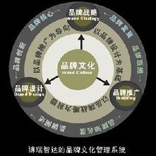 企业品牌维护战略 构建持久品牌价值的关键