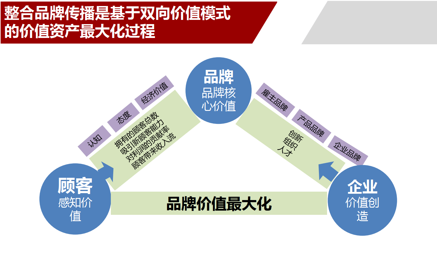 战略品牌管理手册 构建可持续发展品牌的核心指南