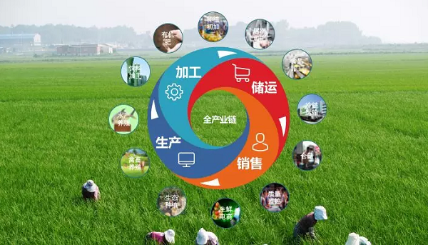 惠农网杰哥:农产品品牌归根结底就是产业链品牌